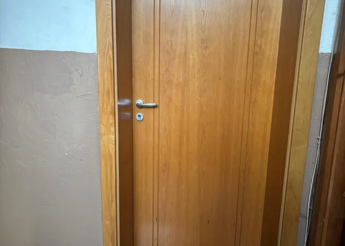 Groovy Olive ترويان