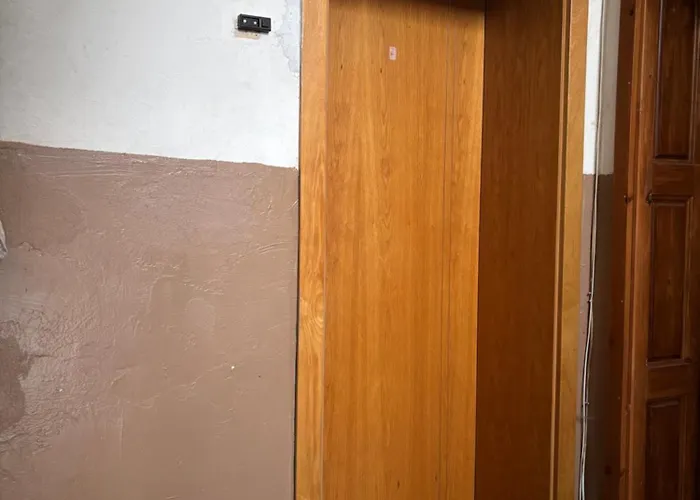 شقة Groovy Olive *